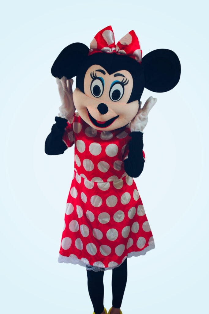 Pelytė Mini gimtadienio šventėje – linksmas ir draugiškas animatorius vaikams